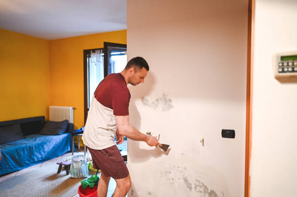 Best Mold Testing and Inspection Services in , WA